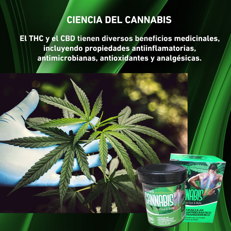 Crema de Cannabis (Alivio de malestar articular y muscular al instante)